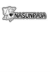 Nasunpaja Avoin Yhtiö