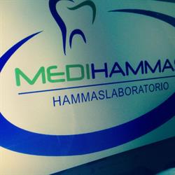 Medihammas