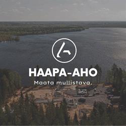 Haapa-aho