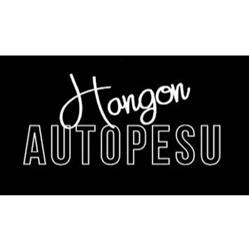 Hangon autopesu Oy