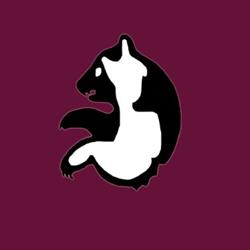 Partiolippukunta Mesikämmenet ry