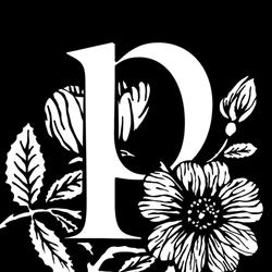 Pohjois-Karjalan kansanteatteri Pokka