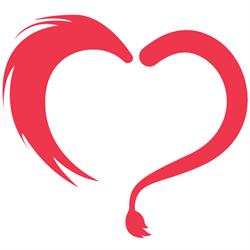 Eläinklinikka Huiskuhäntä Oy