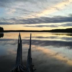Moment of Serenity Oy