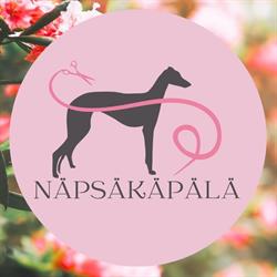 Näpsäkäpälä