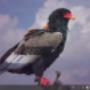 Desktop 1