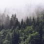 Finland