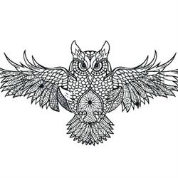 Strix Consulting