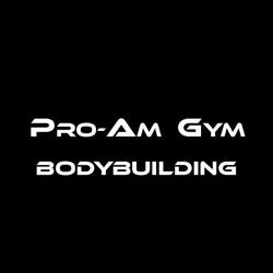 Pro-Am gym