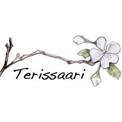 Terissaari Oy