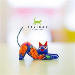 Felinos Eläinklinikka Oy