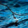 # 2