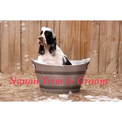 Nanan Trim & Groom