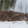 Maanrakennus- ja kaivuutöitä yksityisille, yrityksille ja metsäyhtiöille Mikkeli-Kouvola-Lappeenranta talousalueella. Meiltä saat kodin, kesämökin tai pienemmän rakennuksen pohjatyöt alusta loppuun asti toteutettuna. Palveluihimme kuuluvat lisäksi muun muassa teiden rakennus- ja huoltotyöt sekä energiapuun korjuu. Kauttamme saat myös kaikki tarvitsemasi maarakennusaineet.

Lue lisää kattavista palveluistamme kotisivuiltamme. 

Tilaa veloitukseton arviokäynti.

Soita ja tilaa!