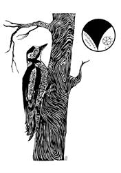 Vähähaara-Seura ry