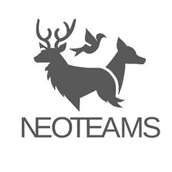 Neoteams