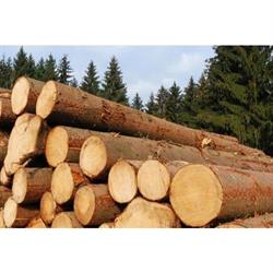 Kuljetusliike S. Kakko Oy