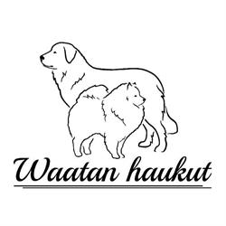 Waatan haukut