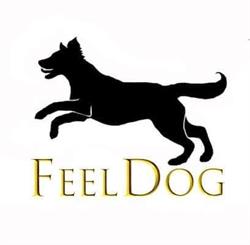 FeelDog