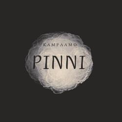 Kampaamo Pinni ja Kudonta
