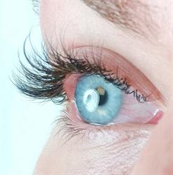 Lashes by Pipsa