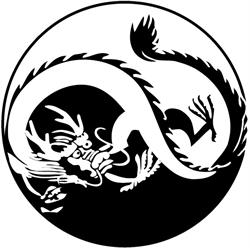 Helsingin Wushu ry