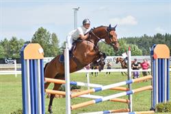 Del-Horses / Team Kari Nevala