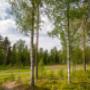 Campground