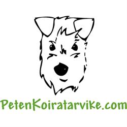 Peten Koiratarvike Oulu