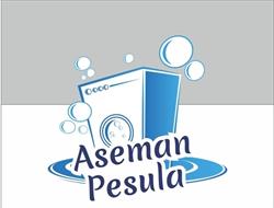 Aseman pesula