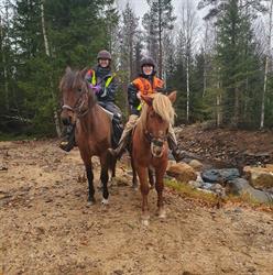 Arctic nature trips ltd Oy