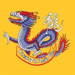 Kung Fu Thieu Lam Finland ry