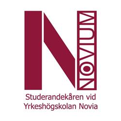 Novium