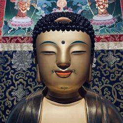 Bodhidharma ry