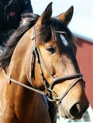 Helmeri Riding Oy