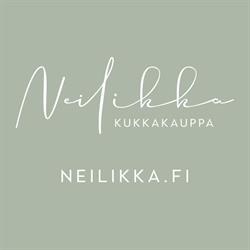 Kukkakauppa Neilikka