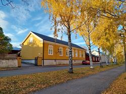 Snellmankoti