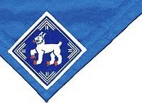 Partiolippukunta Härmälän Ilvestytöt ry