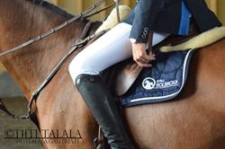 Stall Solbacka