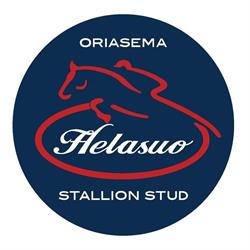 Oriasema Helasuo / Stallion stud Helasuo