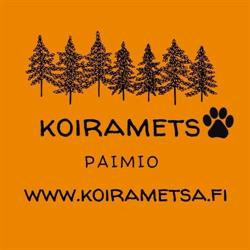 Paimion Koirametsä