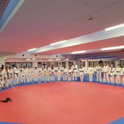 Malmin Taekwondo ry