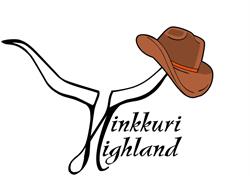 Hinkkuri Highland