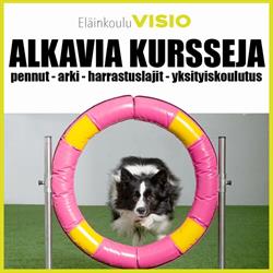 Eläinkoulu Visio
