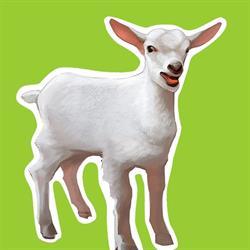 Toisenlainen Lahja