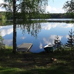 Tiirantuvat