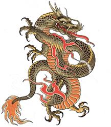 Dragon Jiu-Jitsu