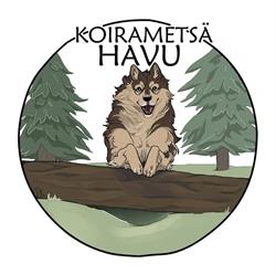 Koirametsä Havu