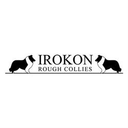 Irokon