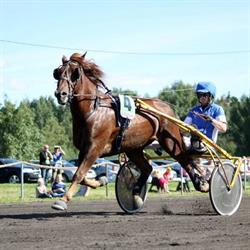 Porvoon Hevosystävät ry - Borgå Hästvänner rf